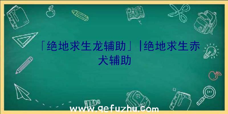 「绝地求生龙辅助」|绝地求生赤犬辅助